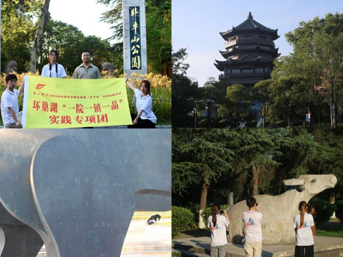 图为团队成员在巢湖市洗耳池公园、卧牛山公园、龟山公园参观调研 通讯员 杨涵 提供