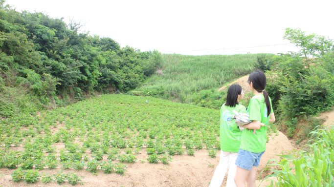 依山就势、因地制宜发展种植业