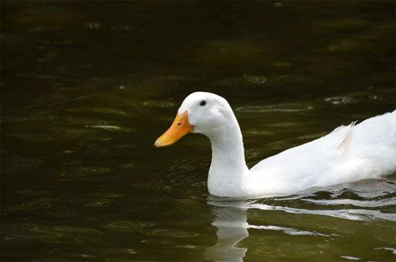 ϣͻ衪ݴѧʵųɹչԵ