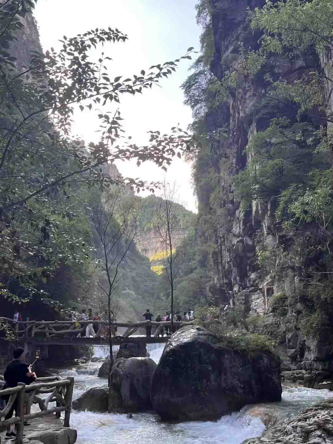 河海大学:着手生态廊桥建设,共筹长江绿色发展
