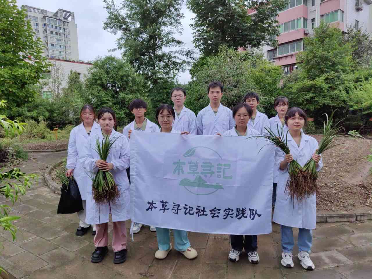 志愿助力,传承中医药文化
