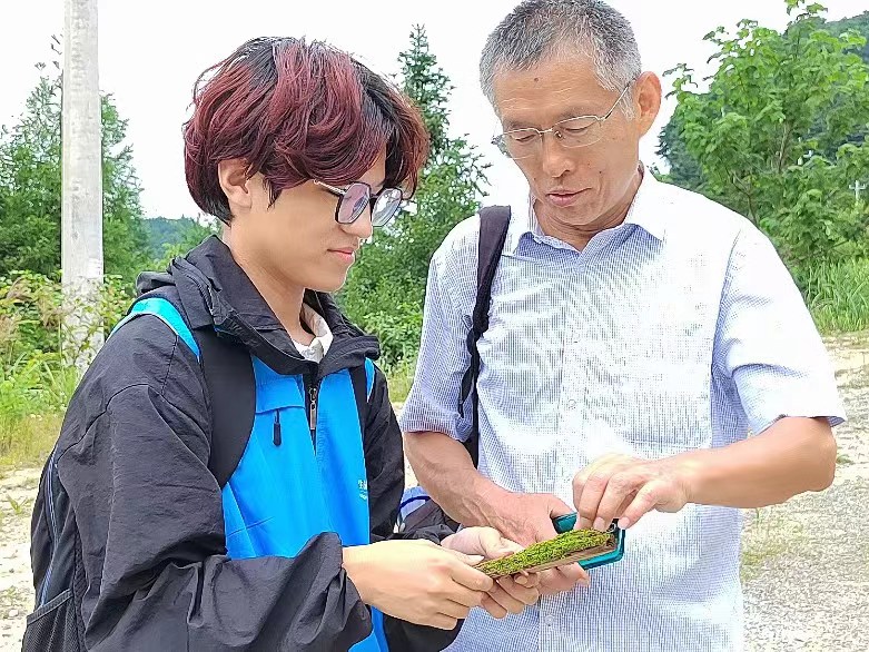 河南师范大学生命科学学院“河小青,森小绿”之青年红领航生态绿实践调研团开展系列活动——一起探“藓”,一“蕨”高下