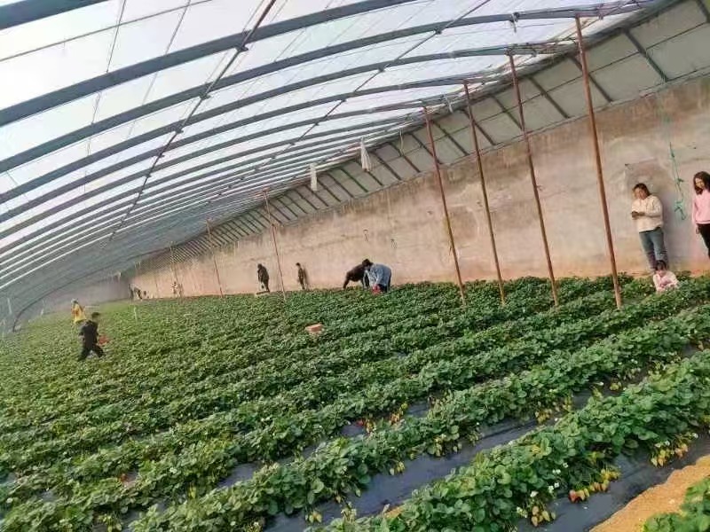 【律能计划—筑梦兴乡团队】“律能计划—筑梦兴乡”团队奔赴山东淄博开展社会实践活动。