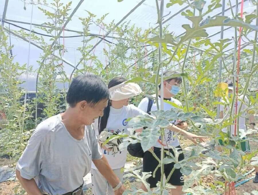 图为实践队员参观种植基地