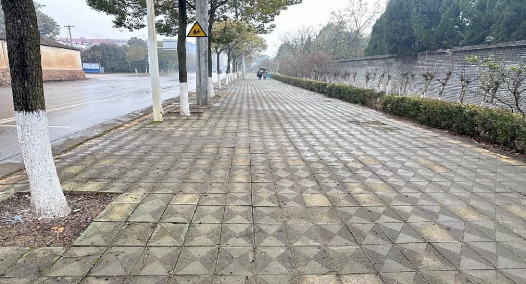 携手前行,共筑无碍未来:无障碍建设暑期志愿服务活动