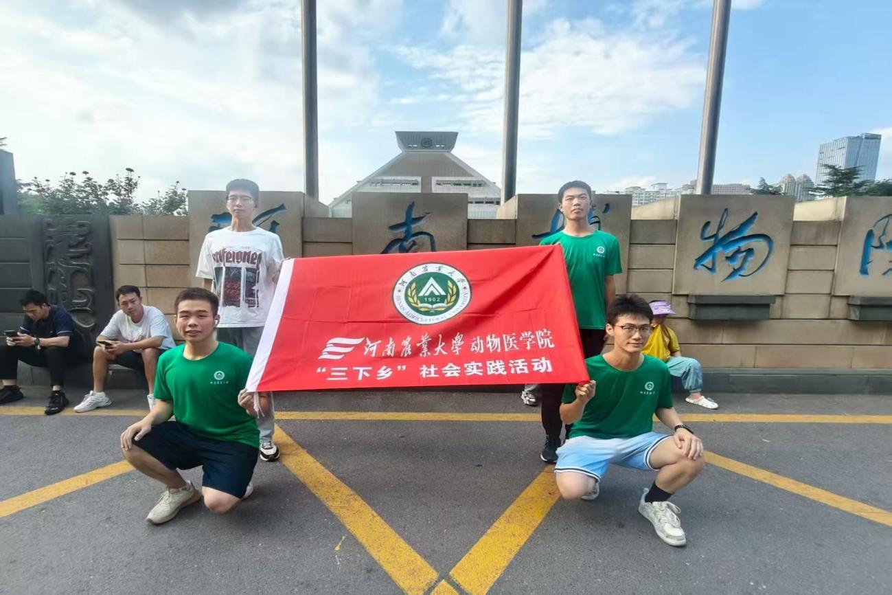 ഺ룬ʵʷ¶
