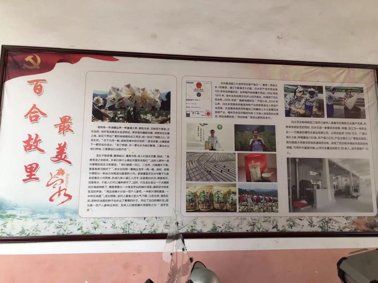 青春在百合故里,用汗水滴灌乡村振兴