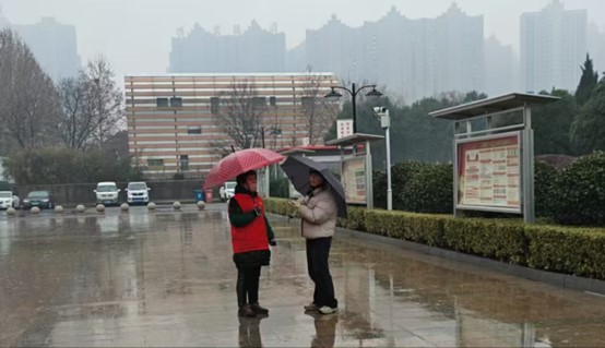 东南大学学子深入漯河 赓续漯河红色文化