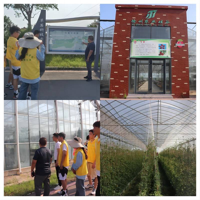 南京交院运管学子社会实践:走进中国大蒜第一镇进行调研