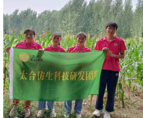 夏乡入田,凝集青春力量