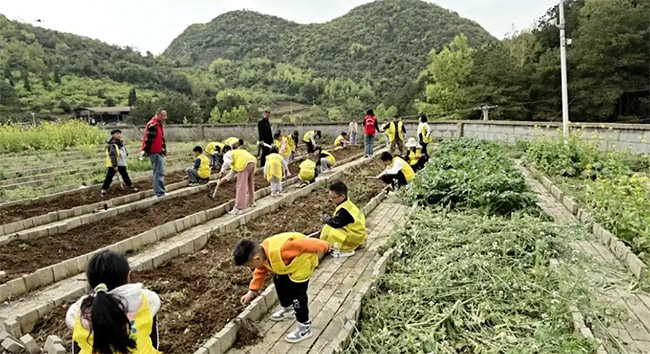 ��������ˮ�塰����峤����ɫ��ѧʵ���Բ���չ�