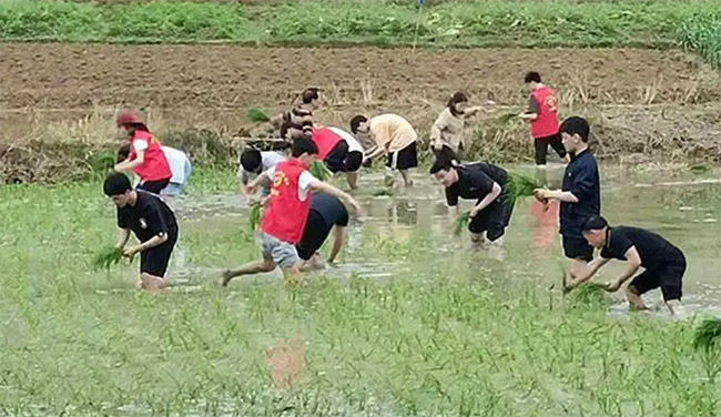 ����һ�п�չ�������ʵ�����УЯ����ũ��������