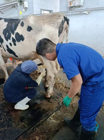 ʿţҽפռǣƼܣÿһţ̸ȫ ݴѧţˡŶǰؼػţ