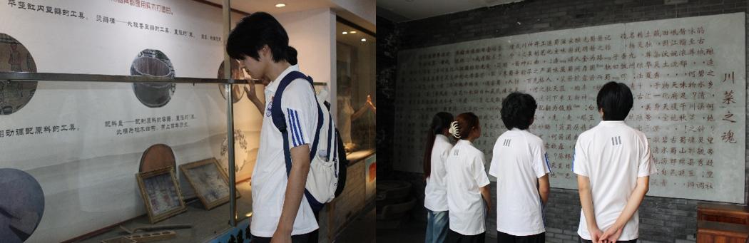 �ɶ�����ѧԺ���ܿ�ѧ�빤��ѧԺ������ͬ�ġ��ӿ�չ���������͸����ߣ�ʹ���ڼ��µ���������